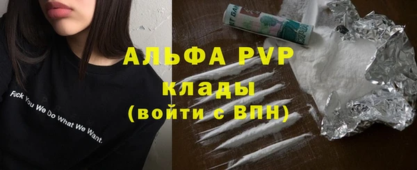 гашик Лабытнанги