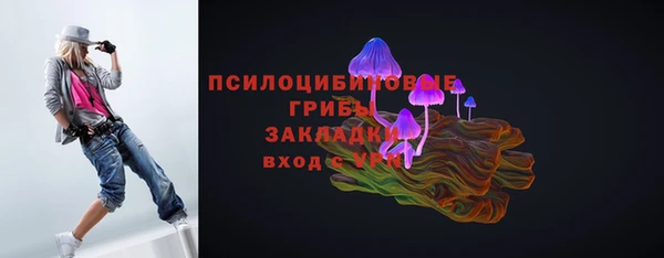 гашик Лабытнанги