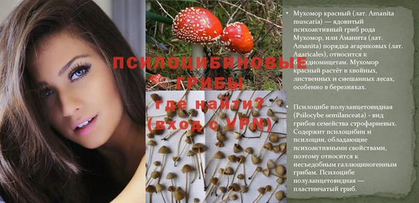прущая мука Ладушкин