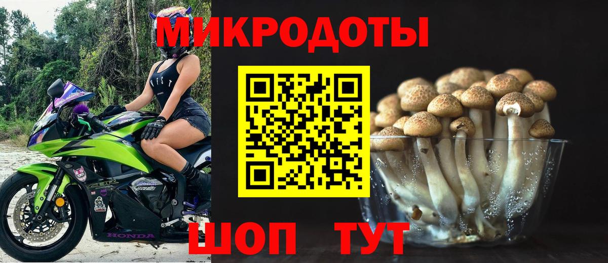 Псилоцибиновые грибы Psilocybe  Вход с VPN  Калуга  Псилоцибиновые грибы прущие грибы 